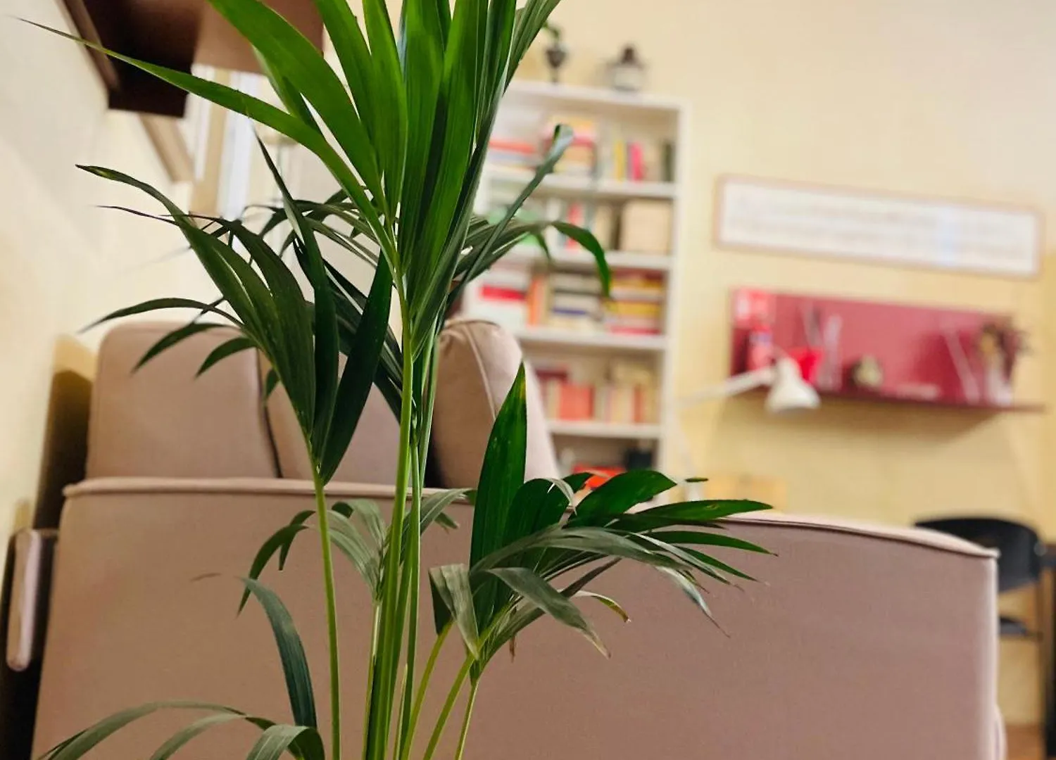 Apartmán B&B L'Argonauta Cremona